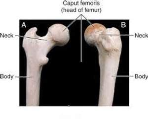caput medfriendlycom