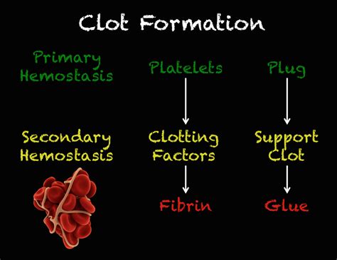 Clot Formation Rebel Em Emergency Medicine Blog