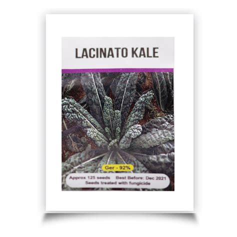 Signature Seeds Lacinato Kale Seeds Approx 125 Seedspack Ft