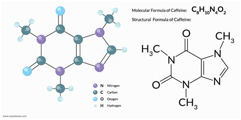 Te Na Vs Cafe Na Diferencias Y Efecto Sobre La Salud Blog Royal Tips