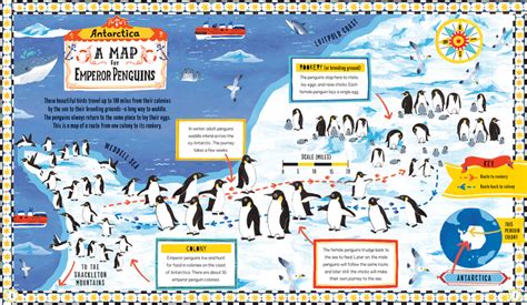 Maps For Penguins Kane Miller Books