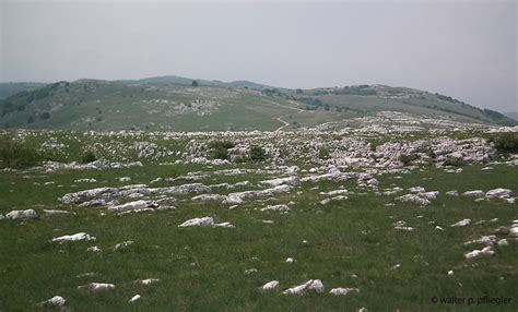 Nature photos from an Amateur Naturalist: Livno, Bosnia and Herzegovina ...