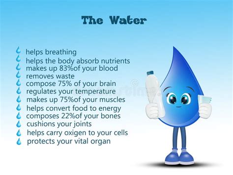 benefits  drinking water infographic stock vector illustration
