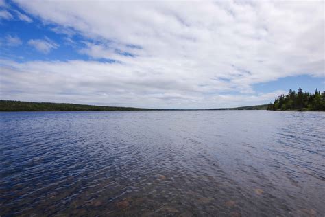 Cabin Dildo Pond Core Contracting