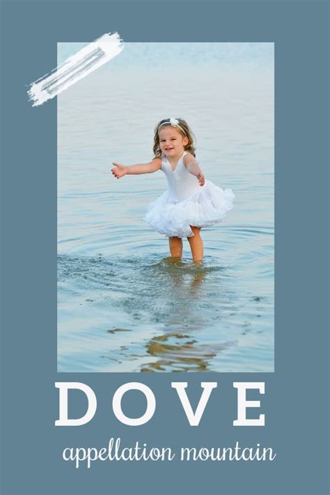 Baby Name Dove Meaningful And Surprising Appellation Mountain