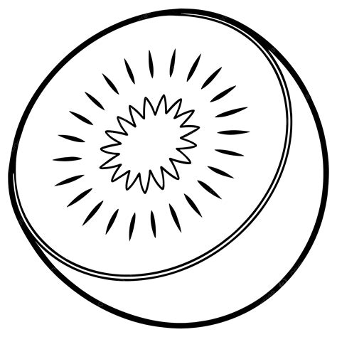 Contorno De Kiwi Para Colorear En Blanco Y Negro Vector PNG Dibujos