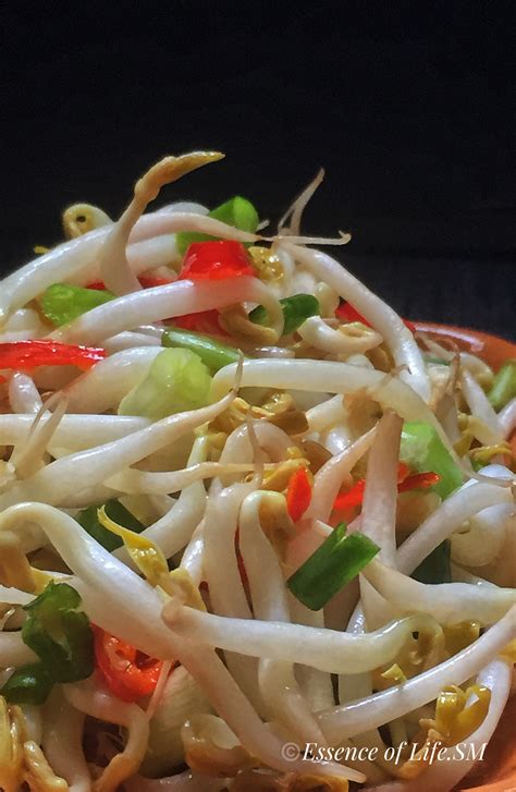 Stir Fried Bean Sprouts Taugeh Goreng Kuali