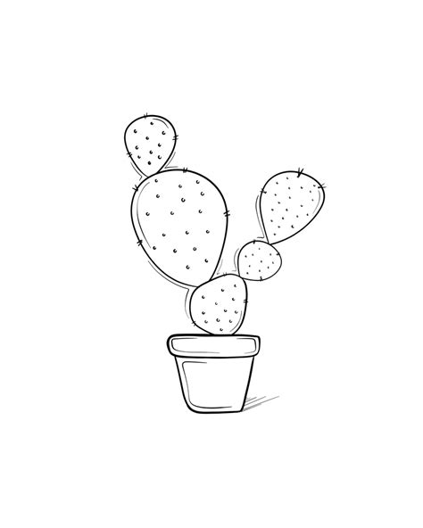 Line Drawing Cactus