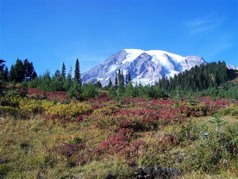 Paradise, Mt. Rainier - Washington | Beautiful places, Favorite places ...