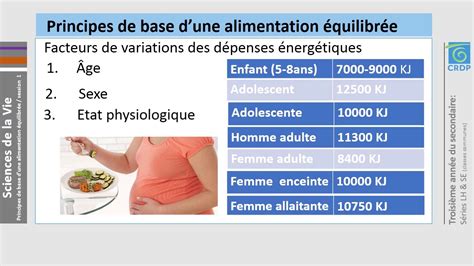 Science De La Vie Nutrition Et Sante Les Besoins Energetiques Youtube