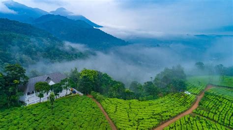 11 Top Tourist Attractions in Munnar by Road in 2021 - Sightseeing and ...