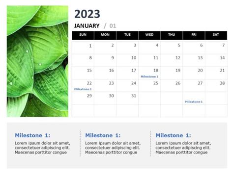 2023 Monthly Calendar PowerPoint Template