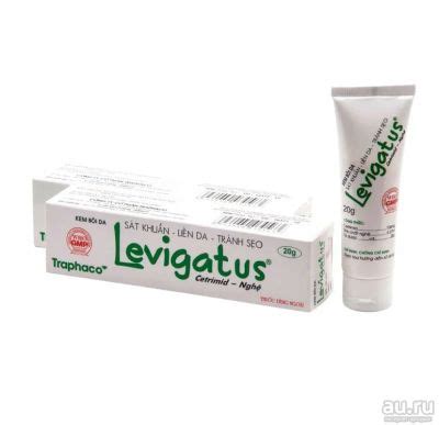 Папоротник Страусник ( Matteúccia struthiópteris) — купить в ...