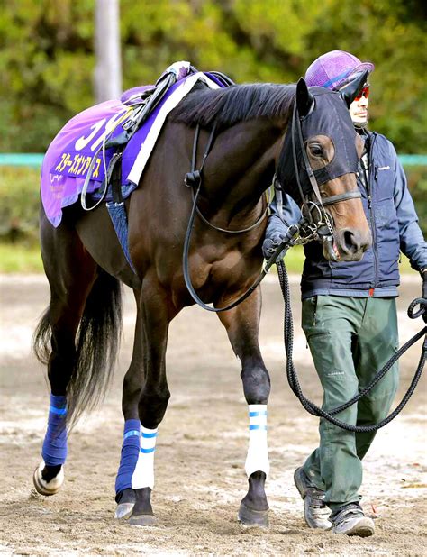 【ジャパンc】昨年の牝馬2冠スターズオンアースは8枠17番 高柳瑞調教師「外だねぇ」 Umatoku 馬トク