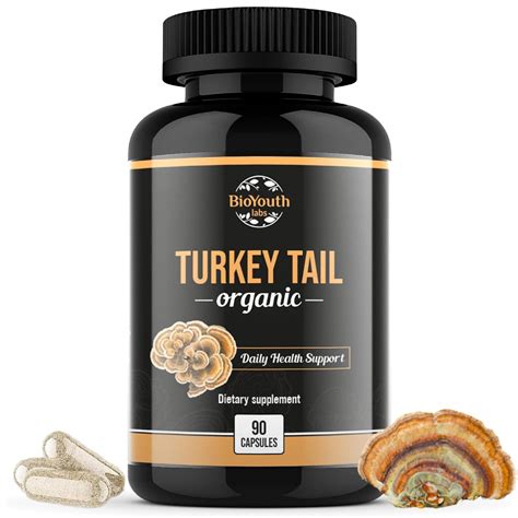 Pharmaceutical Firms Are Patenting Turkey Tail Mushroom Supplements Extracts - RYZE Superfoods