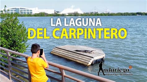 Laguna Del Carpintero En Tampico La Historia Detr S De Este Atractivo