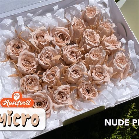 Nude Dried Flower Hair Pin Etsy