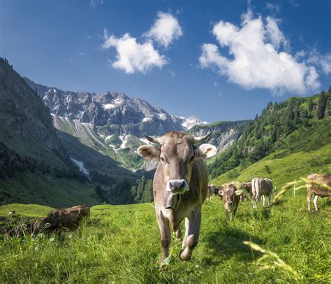 Leinwandbild Meine Lieblingsmotive 2975 5b870ac9 Jonathan Besler