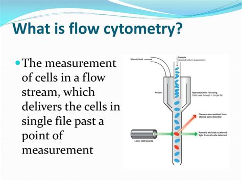 Ppt Basics Of Clinical Flow Cytometry Powerpoint Presentation Free