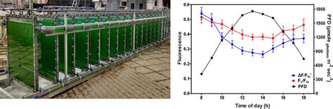 The Flat Panel Photobioreactor Pbr System Maximum Working Volume