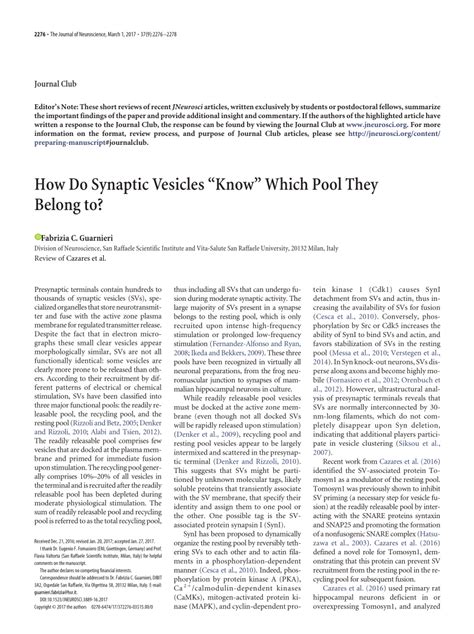 (PDF) How Do Synaptic Vesicles “Know” Which Pool They Belong to?