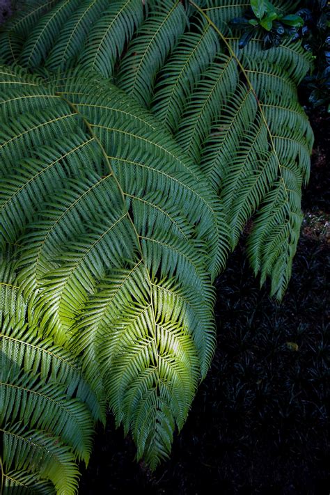 How to See the Best of Guatemala in 1 Week - Traverse