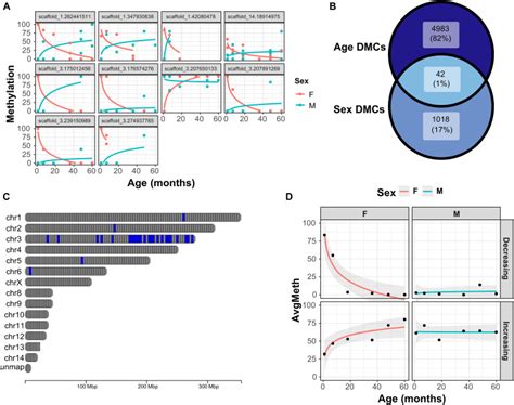 DNA Methylationbased Age Prediction And Sex Specific Epigenetic Aging