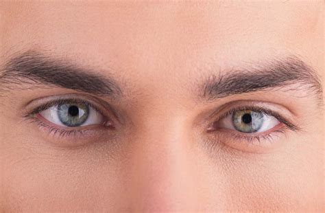 Eyebrow Shapes Before And After For Men