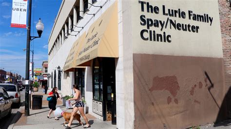 Animal lovers are praising paws near me for recent rescues 14