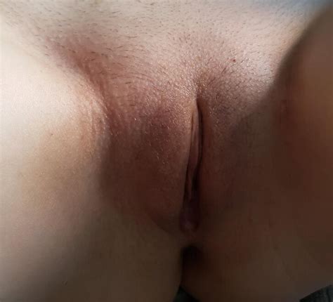 Pussy Delight Porn Pic