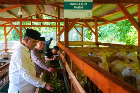 BAZNAS Luncurkan Balai Ternak Di Pacitan Dorong Kemandirian Ekonomi