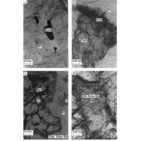 Photomicrographs Of Thin Section Of Anorthosite And Gabbro From Tin