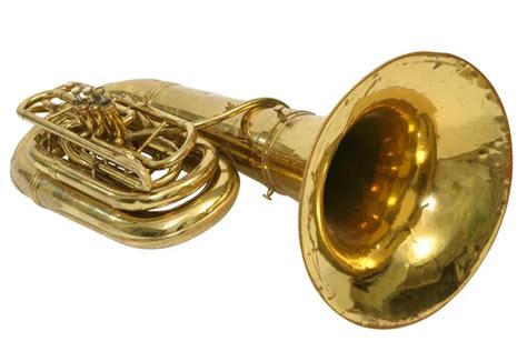 Man Playing Tuba — Stock Photo © Skutin 1026895