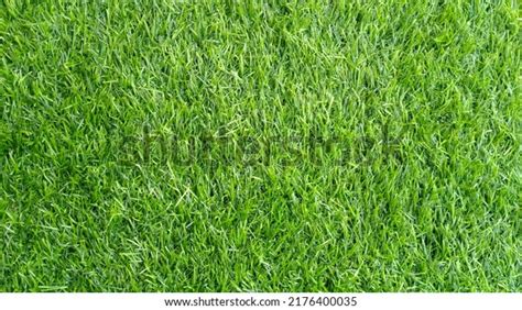 Nahaufnahme von schöner Grasstruktur nahtlos. Stockfoto 2176400035 ...