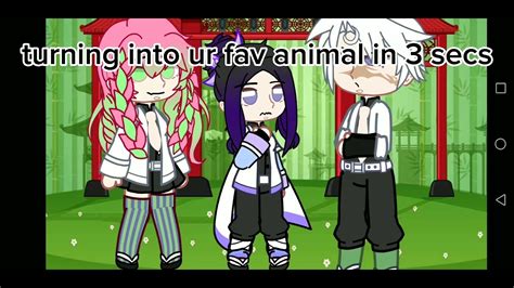 Whats Ur Fav Animal Youtube