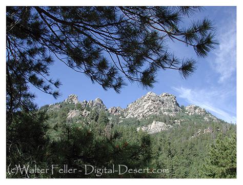 Hualapai Mountain Park Kingman Az
