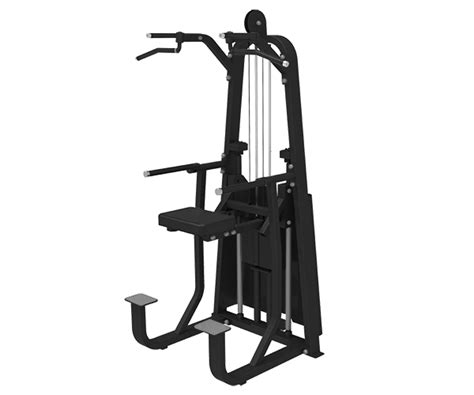 Тренажер турник/брусья с противовесом Bronze Gym LD-9009 купить в ...