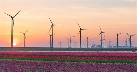 Zwart Techniek’s Reliable Energy Solutions Power Mainova | Technology ...