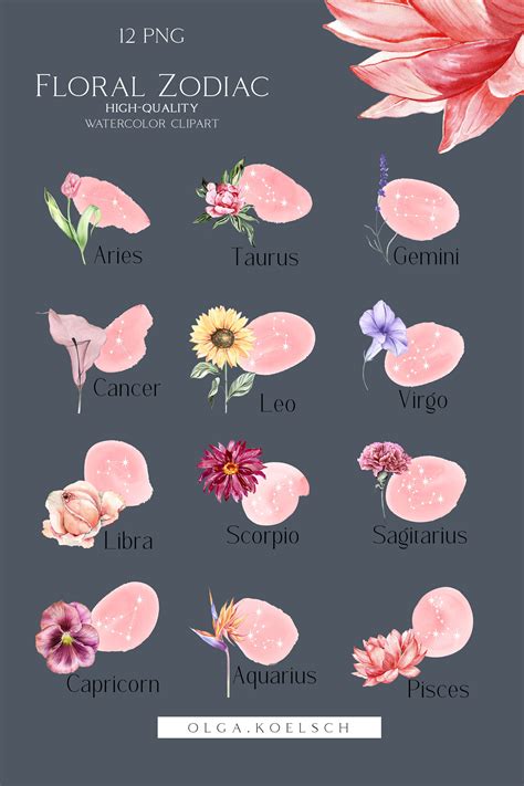 Watercolor Floral Zodiac Clipart Astrology Clipart Celestial Clipart