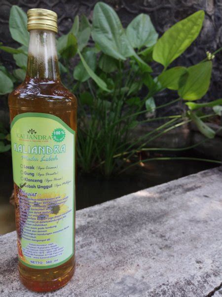 Jual Madu Lebah Unggul Apis Mellifera Honey 560 Ml Di Lapak Achmad