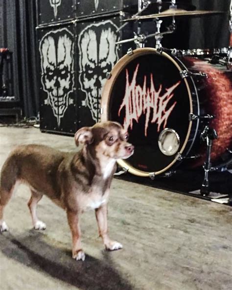 Doyle W. Von Frankenstein (@doylewolfgangvonfrankenstein) • Instagram