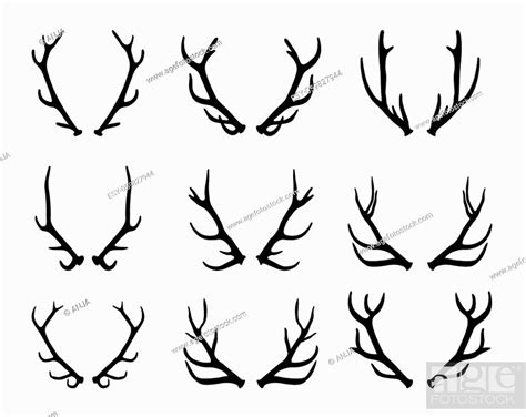 Set Of Black Deer Antlers Vector Illustration Stock Vector Vector