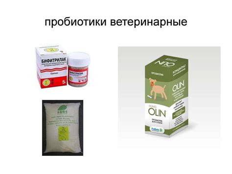 Средства, влияющие на функции органов пищеварения - презентация онлайн
