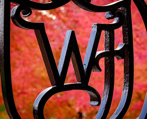 wfu awards  recognitions briefs wake forest news