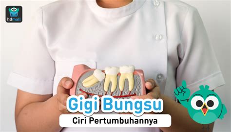 Ciri Ciri Gigi Bungsu Tumbuh Haruskah Dicabut HDmall