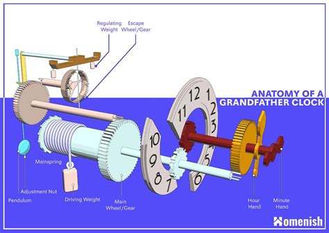 Essential Parts of a Grandfather Clock (Pendulum Clock) with Diagram ...