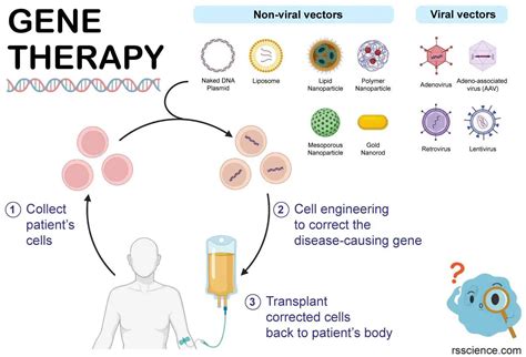 Gene Therapy A Promising Biotechnology For The Treatment Of Genetic