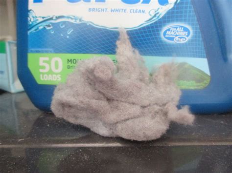 Dryer Lint Donna D Here