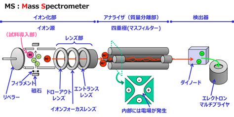 分析事業｜ガスクロマトグラフ質量分析計の原理｜イビデンエンジニアリング