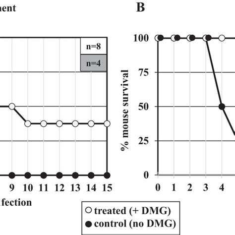 Structure Of Dmg And Dmg Ni Two Molecules Of Dmg Are Needed To